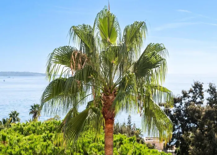 4p Vue Mer, De Standing Avec Piscine & Tennis - 4p Vue Mer, De Standing Avec Piscine & Tennis Mae-4573 アパート